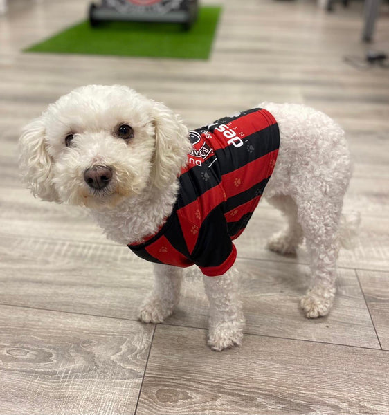 BOHS FC Pet Jersey and Bandana – Dougs World